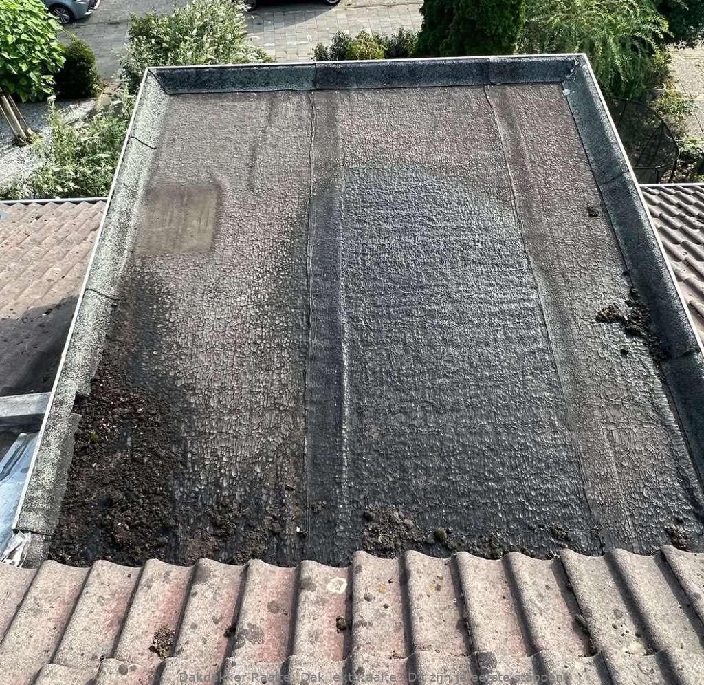 Dak lekt Raalte? Dit zijn je eerste stappen!