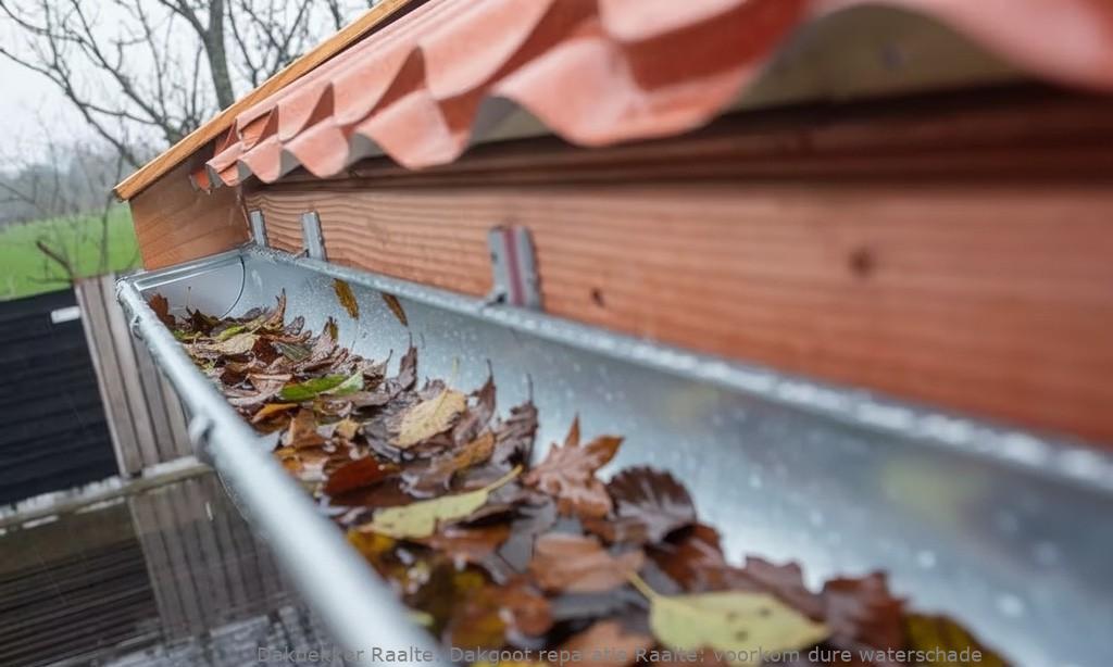 Dakgoot reparatie Raalte: voorkom dure waterschade