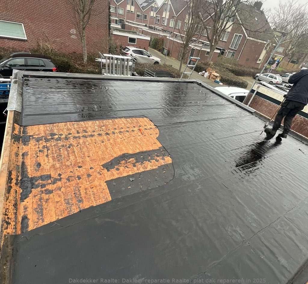 Dakleer Reparatie Raalte