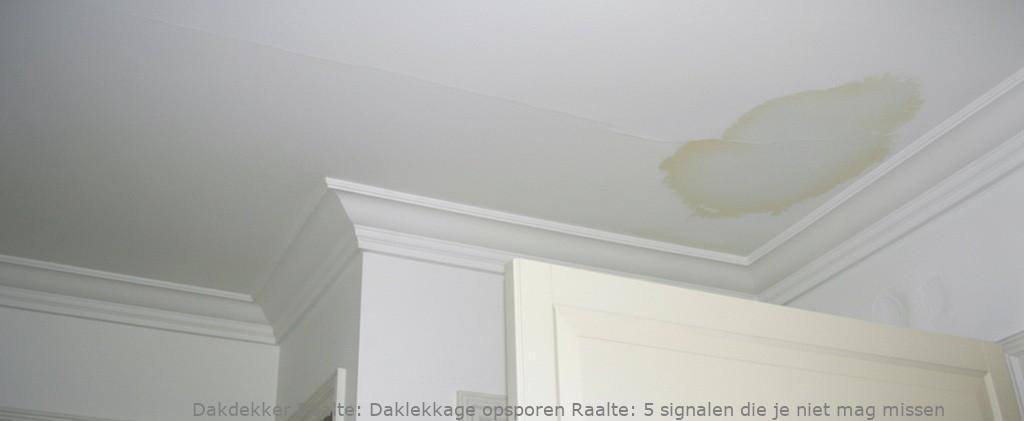 Daklekkage Opsporen Raalte 1