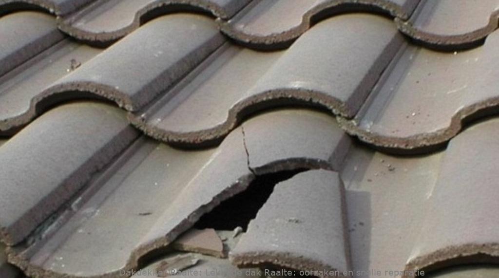 Lekkage dak Raalte: oorzaken en snelle reparatie