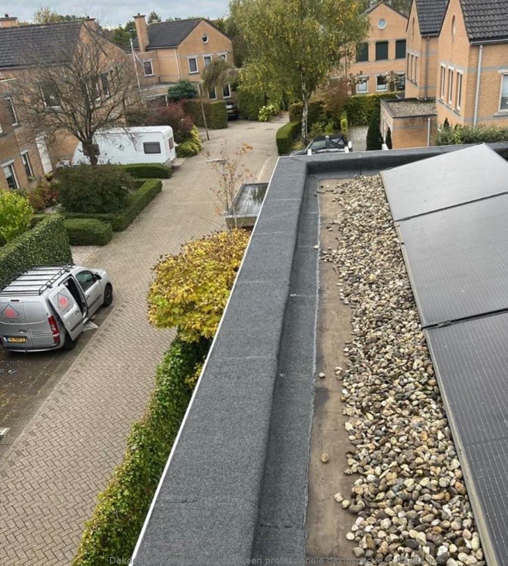 Professionele Dakinspectie Raalte