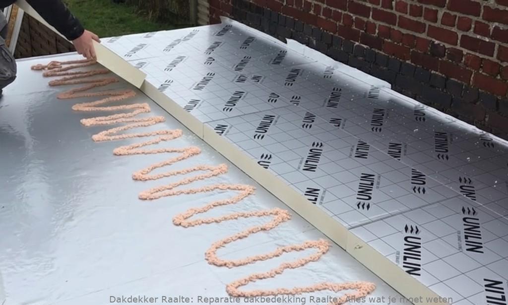 Reparatie Dakbedekking Raalte