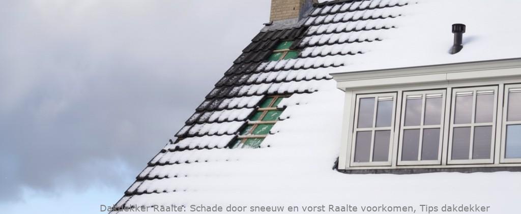 Schade Door Sneeuw En Vorst Raalte